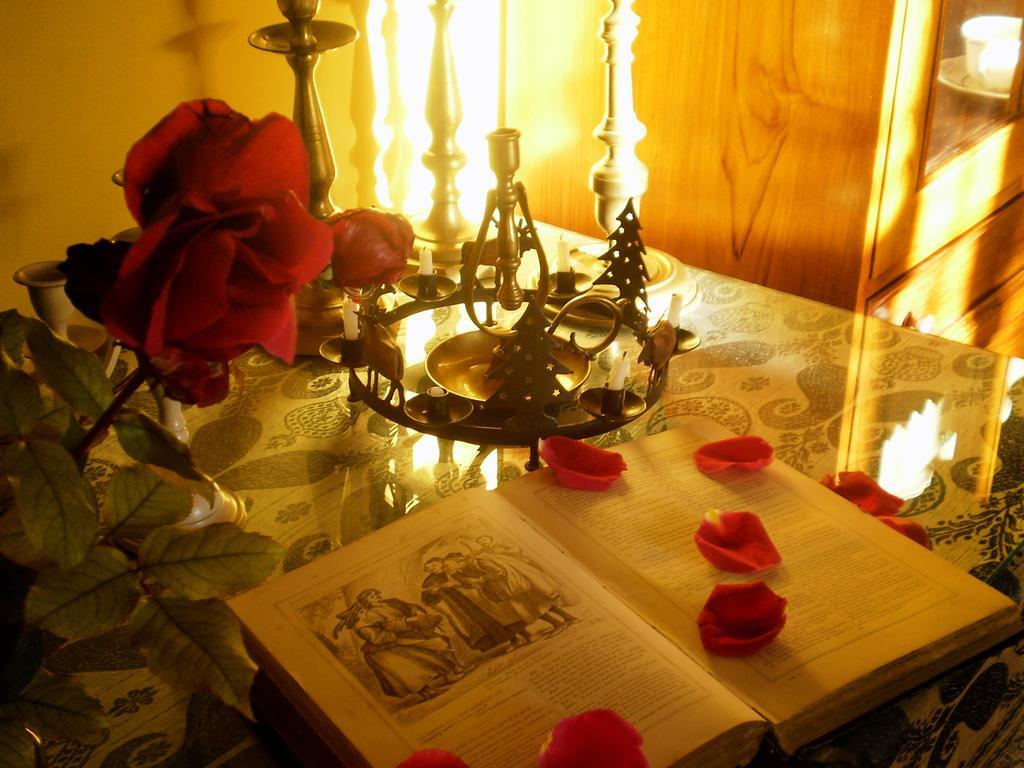 Hotel Boutique Alicia Carolina Monachil Extérieur photo