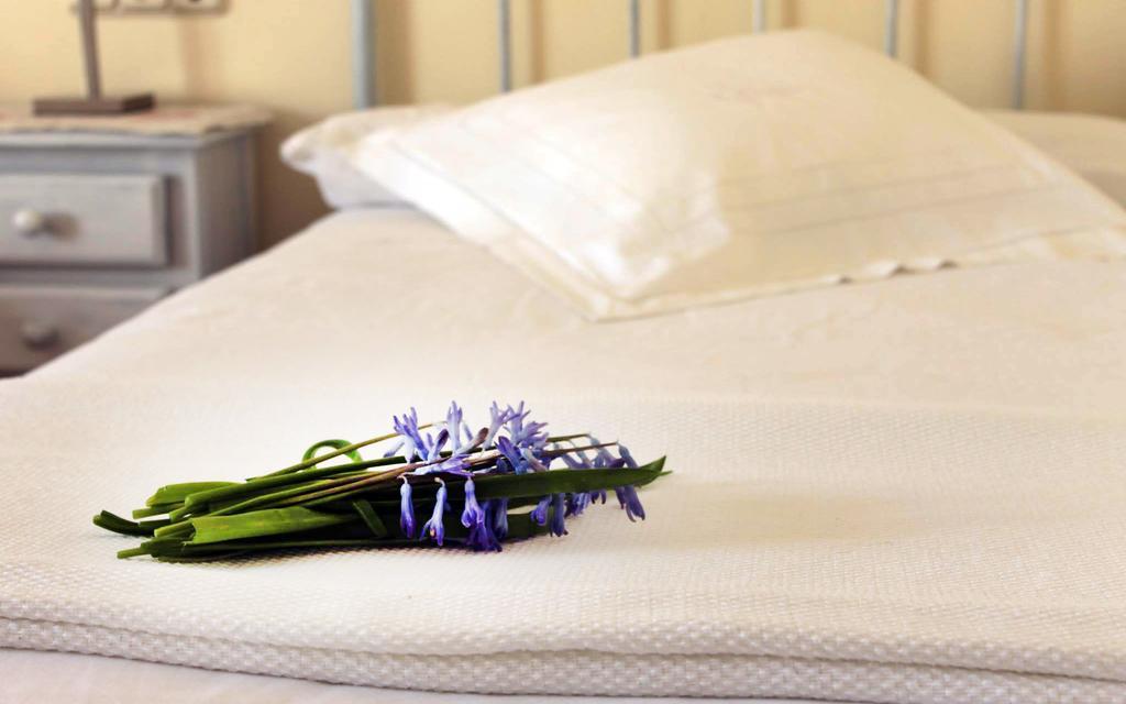 Hotel Boutique Alicia Carolina Monachil Extérieur photo