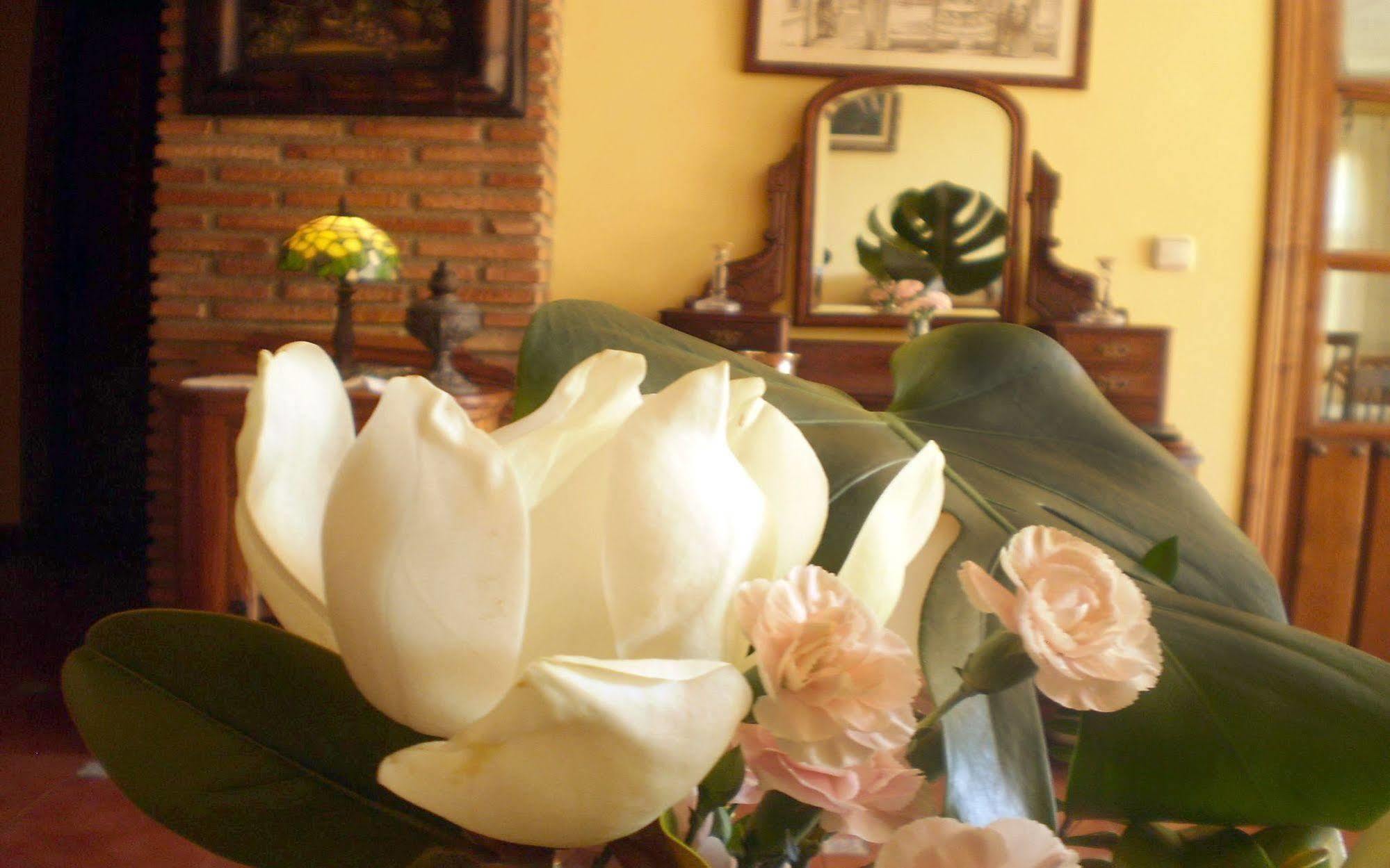 Hotel Boutique Alicia Carolina Monachil Extérieur photo
